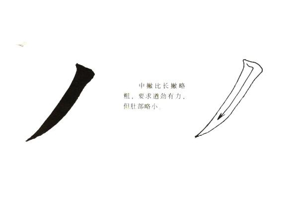 五种楷书撇的写法,简简单单的认识和分辨,三分钟区分撇的写法