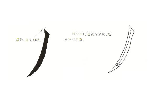 五种楷书撇的写法,简简单单的认识和分辨,三分钟区分撇的写法