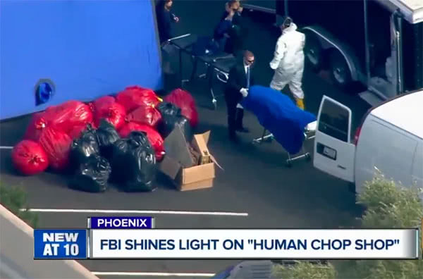 　被“打包的”器官和尸体部位 视频截图