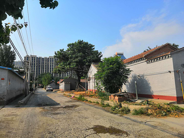 村长张玉称，王家村即将整体搬迁进楼房，65岁的侯振林看不到了。