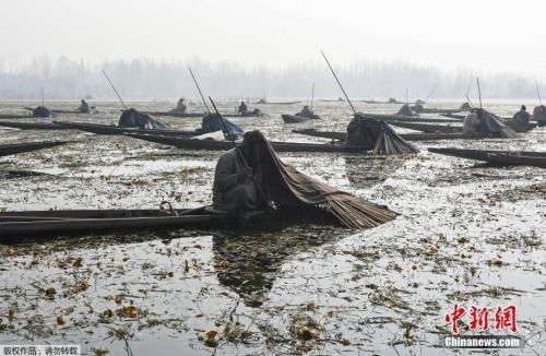 　　资料图：当地时间2017年12月28日，印控克什米尔斯利那加，渔民用毯子盖着头在城外的安佳湖上捕鱼。