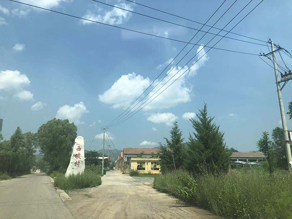 王见刚老家所在的西坡村。本文图均为 澎湃新闻记者 陈雷柱 图