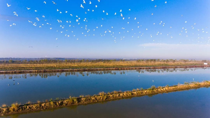 西安浐灞生态区浐灞国家湿地公园交通和位置有哪些问题