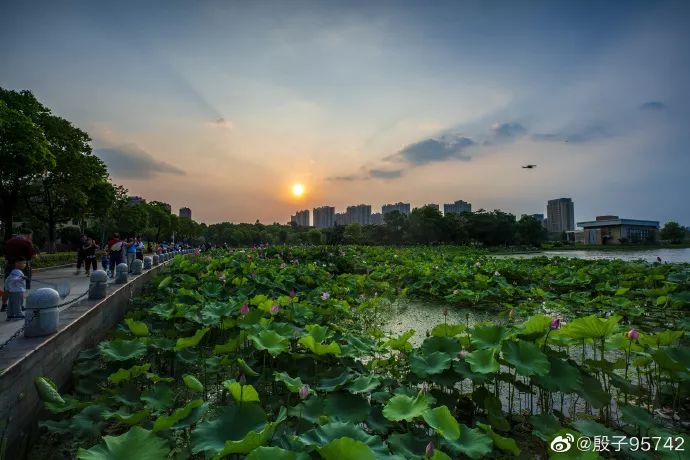 夜风武最后有几个妻子 夜风武到底喜欢谁