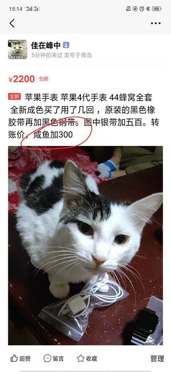 　李平在闲鱼平台上看到一家名为“佳在峰中”的青岛卖家正在出售一款二手Apple watch4，标价为2200元。&nbsp; 本文图均为 受访者供图