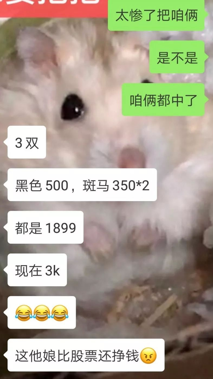 去年炒币亏钱的人，已经靠炒鞋回本了_财经头条