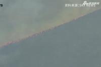如果亚马孙雨林被大火烧光 多地四季交替或将消失