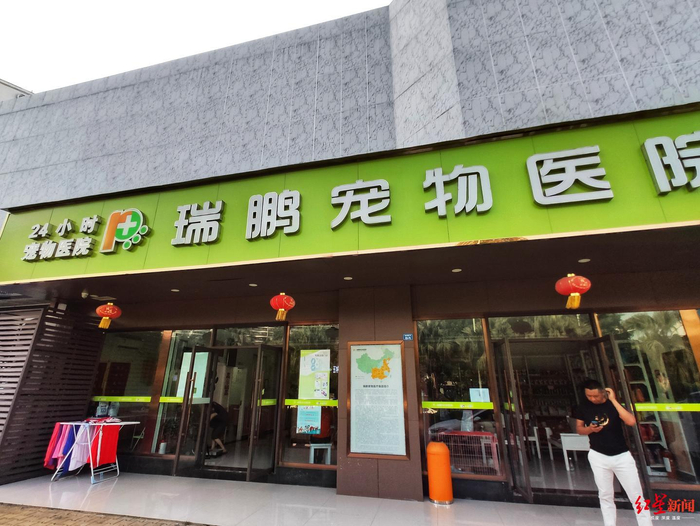  涉事的宠物医院
