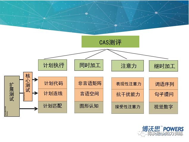 Cas Testing 你家孩子的专注力怎么样?CAS测评一测就知道