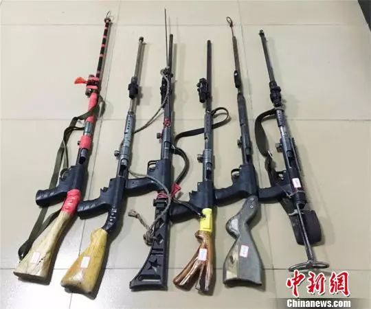 资料图：枪支。