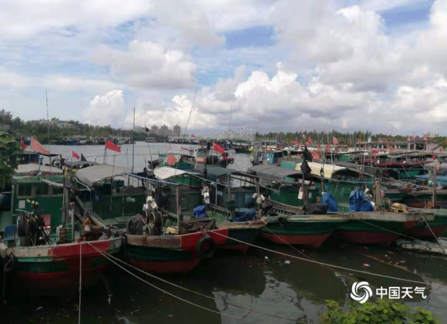 台风“杨柳”正步步逼近，海南琼海潭门渔船回港避风。（图/邝继海）