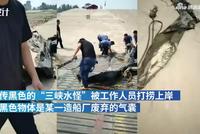 “三峡水怪”被打捞上岸 系废弃的橡皮气囊