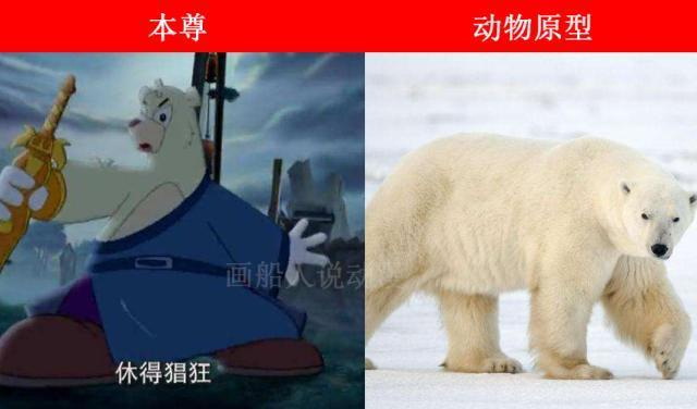 虹猫蓝兔七侠传角色的动物原型,大奔是北极熊,跳跳和孙悟空一样
