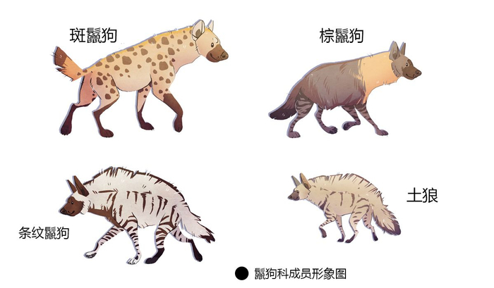 浅谈土狼的生存方式,凭借“三板斧”在险境下求生存