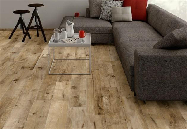 这是一种由塞拉米卡·桑特·阿戈斯蒂诺收藏的布伦达