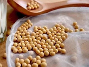 JS环球通过聆讯:募资5至6亿美元 为九阳间接控股股东