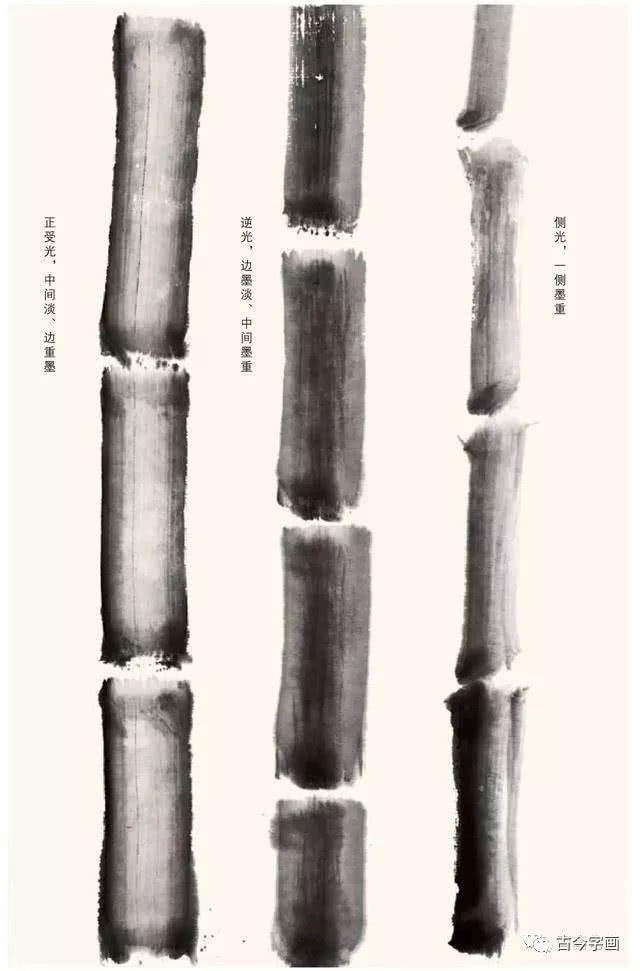 名家教你画竹,从简单画起_新浪新闻