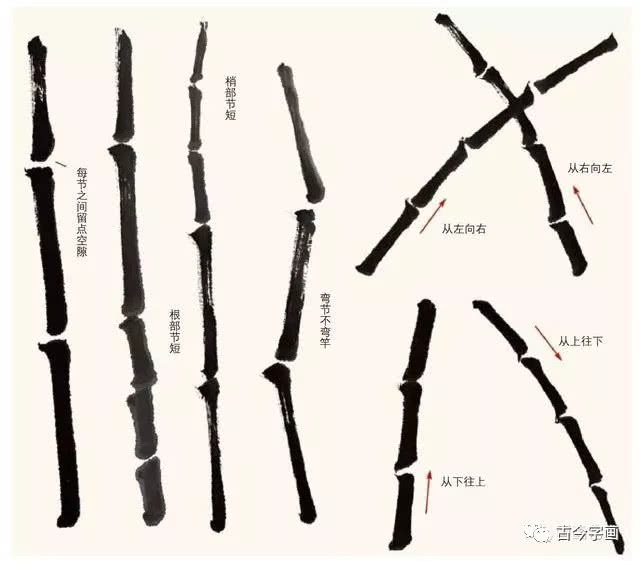 名家教你画竹,从简单画起_新浪新闻
