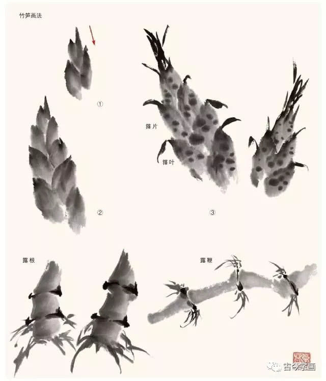 名家教你画竹,从简单画起_新浪新闻