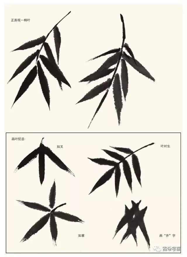 名家教你画竹,从简单画起_新浪新闻