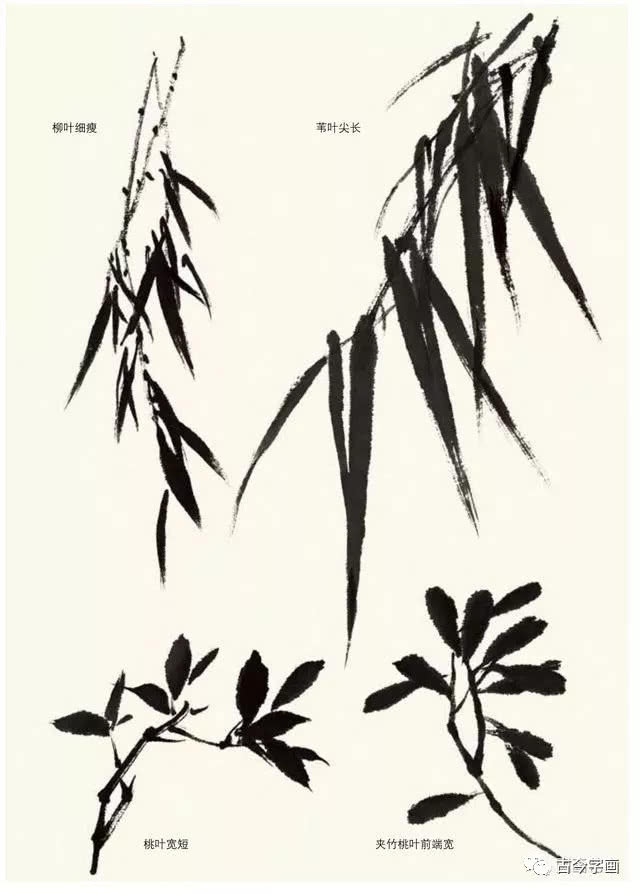 名家教你画竹,从简单画起_新浪新闻