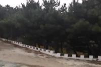 北京下雪了 延庆佛爷顶飘起了雪花