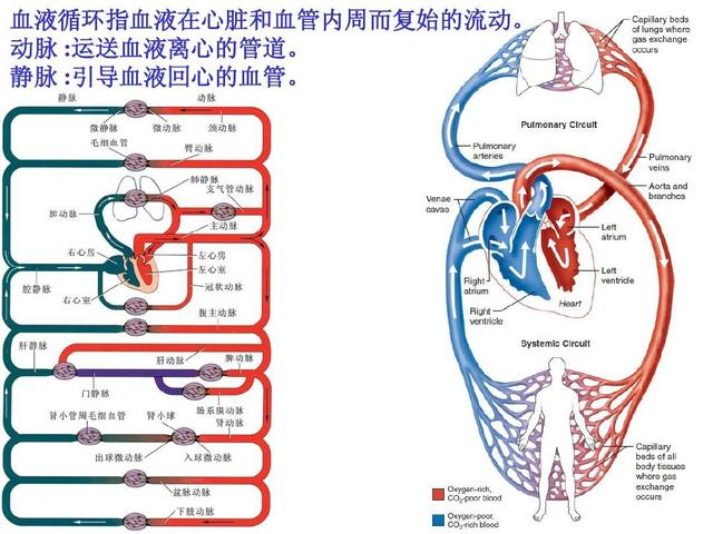 什么情况下血压会升高?不要做7件事,这会让血压迅速升高的