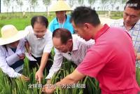 《中国粮的奇迹》第二集 :科技助力中国粮