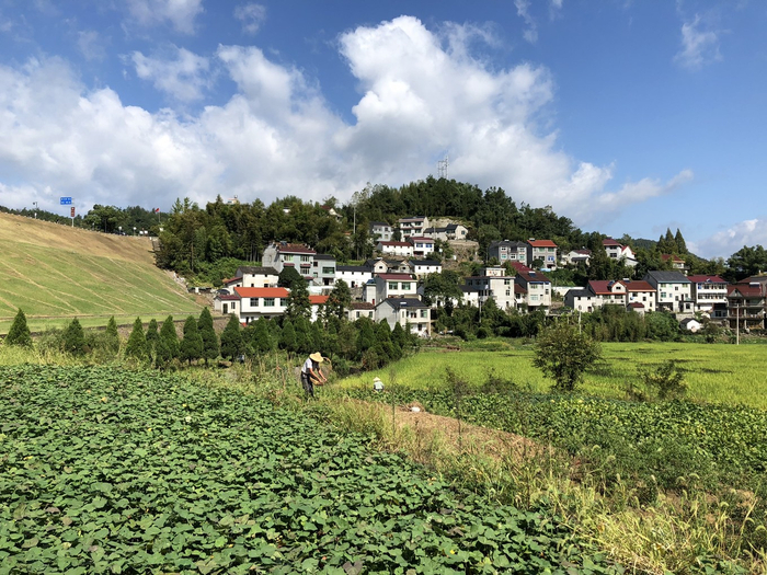浙江桐庐8大古村落，浙江人说：每一个都值得去打卡走一圈|桐庐|浙江|荻浦村