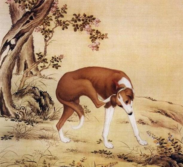 古代狗肉为什么难登大雅之堂?你看李时珍《本草纲目》是咋说的