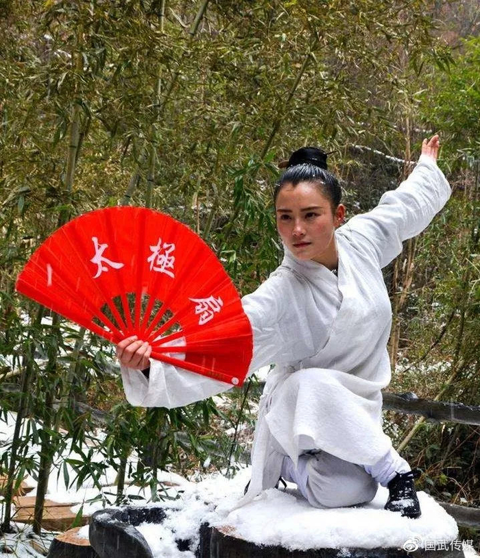 太极扇是武术还是舞术?都误解了!_新浪新闻