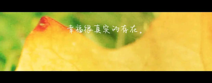 被人惦记也是一种幸福