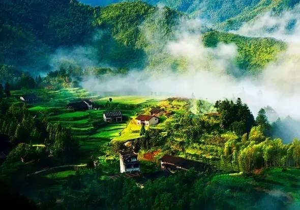 浙南边陲的小县城,被誉为中国最纯净的美丽风景线|泰顺|乌岩岭_新浪新闻