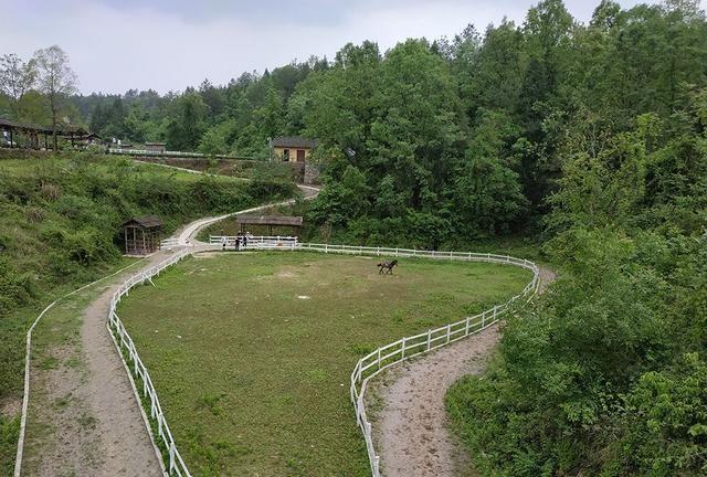 张家界禾田居山谷图片