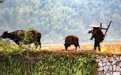 封建时代大量荒地不开垦,农民为何不去开垦荒地要去造反?