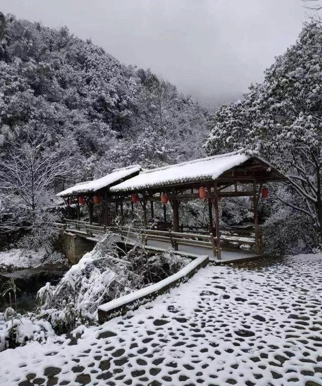 彭州卧龙谷雪景图片