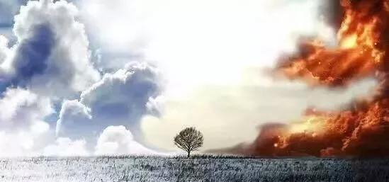 从众,是一种人性和素质