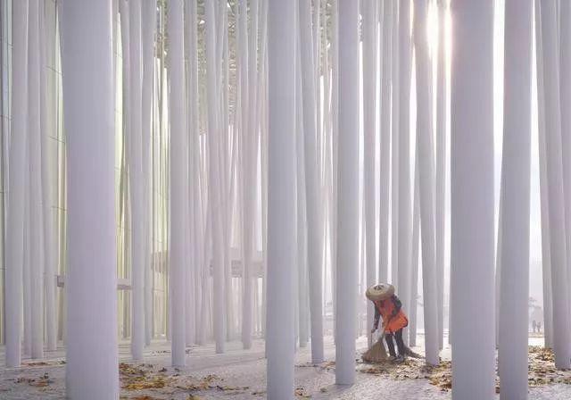 无锡彻底火了！在太湖边用365根柱子搭出「白色竹林」，美国CNN都点赞！