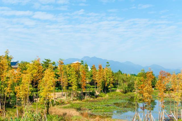 广东旅行该去哪？此景区有童话小镇的风景，赶紧去这里享受慢生活