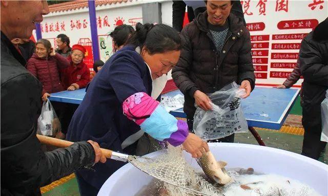 桐楼乡：集体经济见成效 群众分鱼过春节