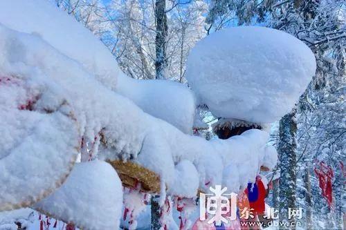 黑龙江雪乡、漠河等景区关闭！具体有哪些看这里