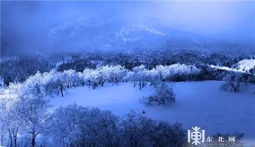 黑龙江雪乡、漠河等景区关闭！具体有哪些看这里