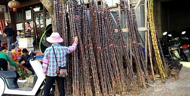 海南农村过年风俗很有地方特色，年味十分的浓厚