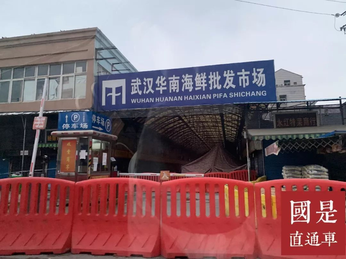 中新社记者 杨程晨 摄