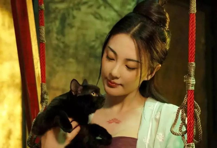电影《妖猫传》，故事背景唐代