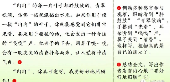 【微课堂】统编语文三年级下册第一单元作文《我的植物朋友》图文解读+写作指导+写作示例