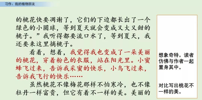 【微课堂】统编语文三年级下册第一单元作文《我的植物朋友》图文解读+写作指导+写作示例