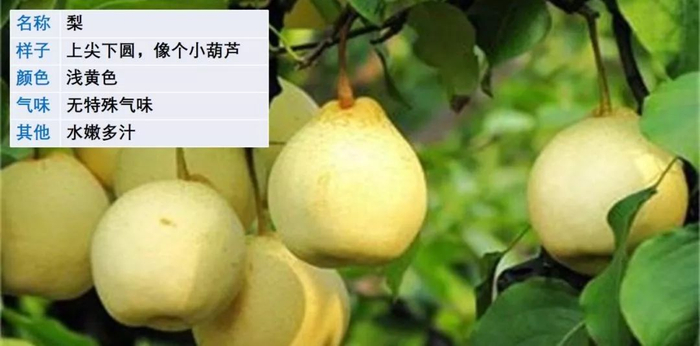 【微课堂】统编语文三年级下册第一单元作文《我的植物朋友》图文解读+写作指导+写作示例