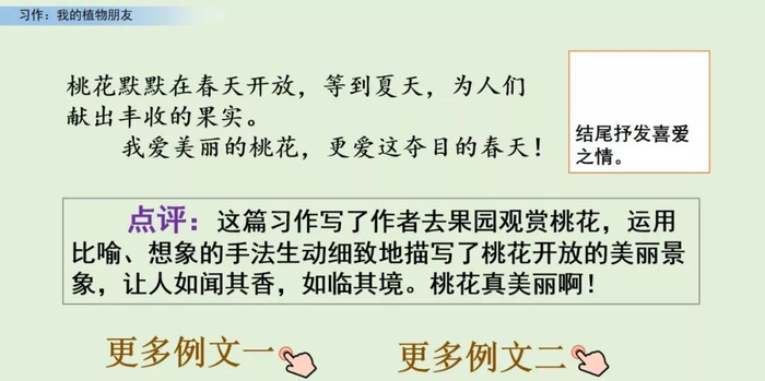 【微课堂】统编语文三年级下册第一单元作文《我的植物朋友》图文解读+写作指导+写作示例
