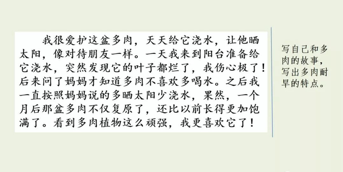 【微课堂】统编语文三年级下册第一单元作文《我的植物朋友》图文解读+写作指导+写作示例